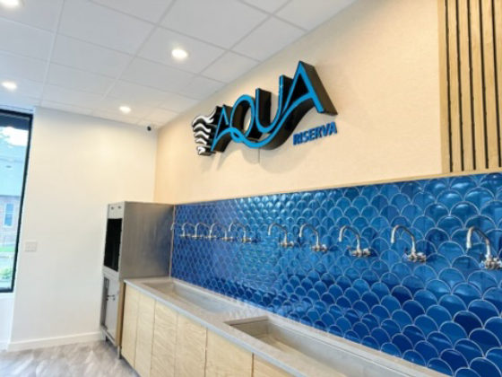 Modern commercial space with blue fish-scale tile backsplash and light wood cabinetry